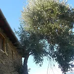 Dom wakacyjny Casa Da Vinha Em - Douro *