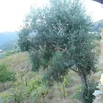 Dom wakacyjny Casa Da Vinha Em - Douro *
