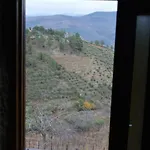 Casa Da Vinha Em - Douro *
