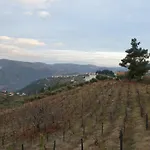 Casa Da Vinha Em - Douro Dom wakacyjny *