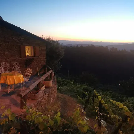 Casa Da Vinha Em - Douro