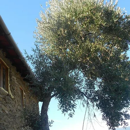 Hébergement de vacances Casa Da Vinha Em - Douro *