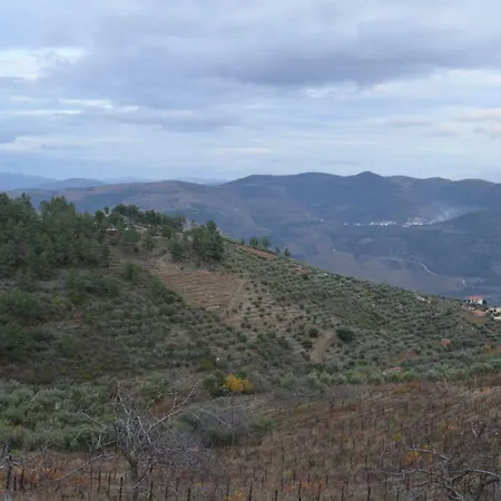 Casa Da Vinha Em - Douro Holiday home Tabuaco