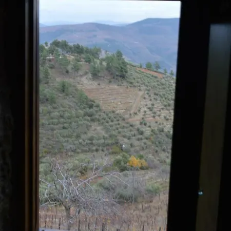 Casa Da Vinha Em - Douro *
