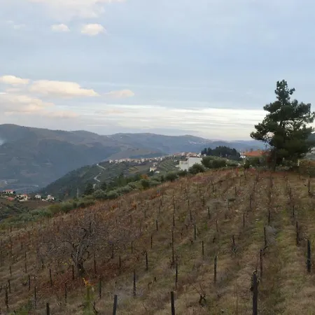 Casa Da Vinha Em - Douro Hébergement de vacances *