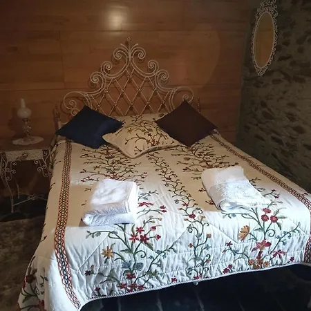 Casa Da Vinha Em - Douro *