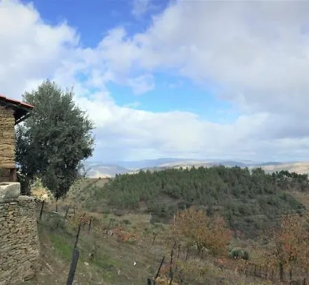 Casa Da Vinha Em - Douro Hébergement de vacances Tabuaço
