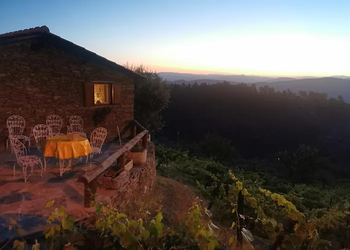 Casa Da Vinha Em - Douro