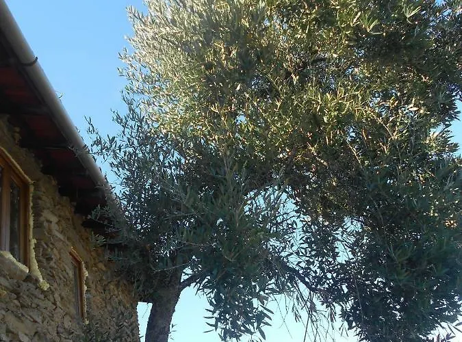 בית נופש Casa Da Vinha Em - Douro *