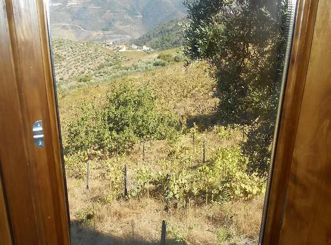 Casa Da Vinha Em - Douro Ferienhaus *