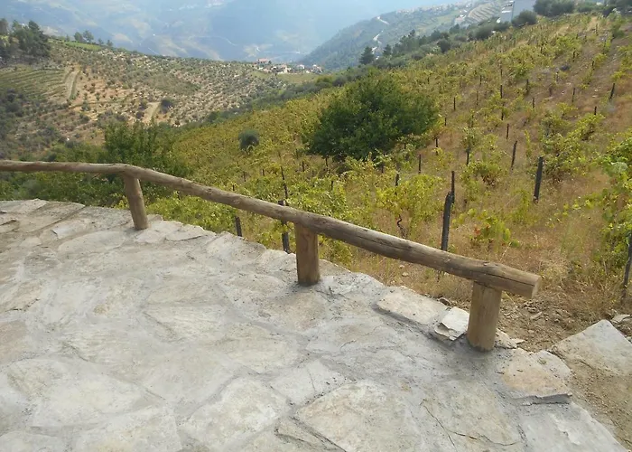Casa Da Vinha Em - Douro בית נופש