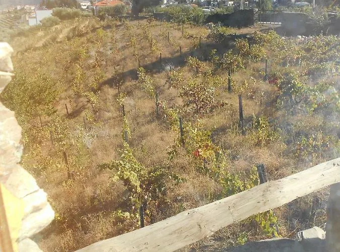 Casa Da Vinha Em - Douro