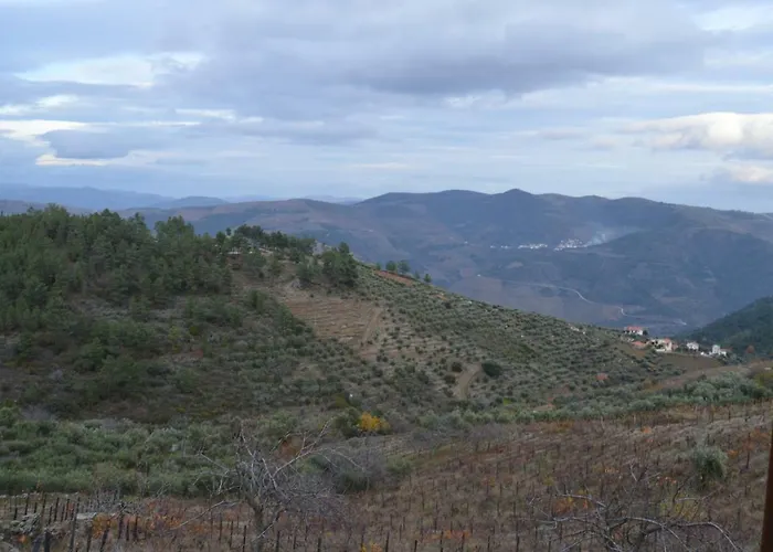 Casa Da Vinha Em - Douro Semesterbostad Tabuaço