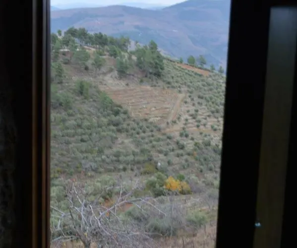 Casa Da Vinha Em - Douro *