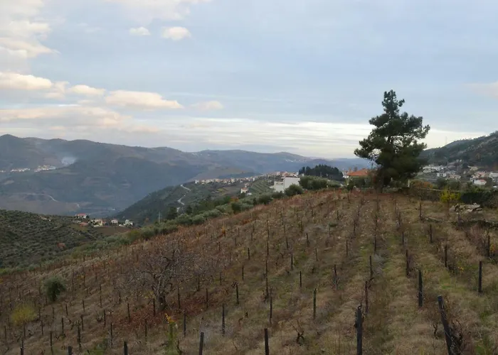 Casa Da Vinha Em - Douro Semesterbostad *